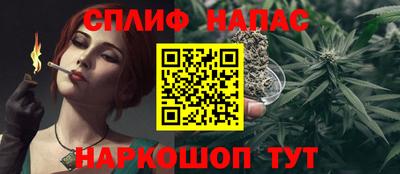 мдпв Ставрополь