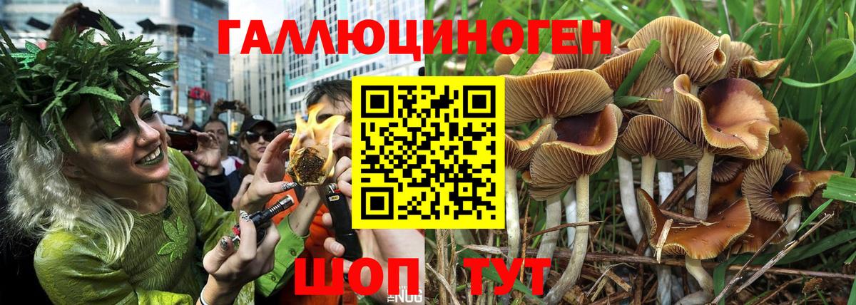 Мценск  Псилоцибиновые грибы мухоморы  Вход с VPN 