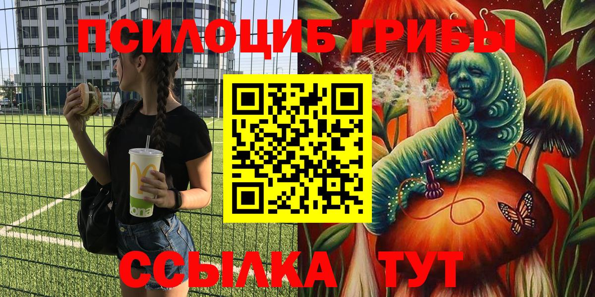 Галлюциногенные грибы прущие грибы Мценск